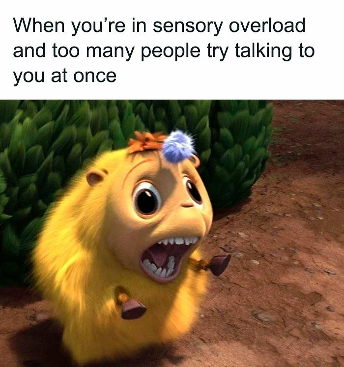 77 Hilarious Memes That Might Be The Reason Why You Go To Bed In A Good Mood Tonight 77 Hilarious Memes That Might Be The Reason Why You Go To Bed In A Good Mood Tonight