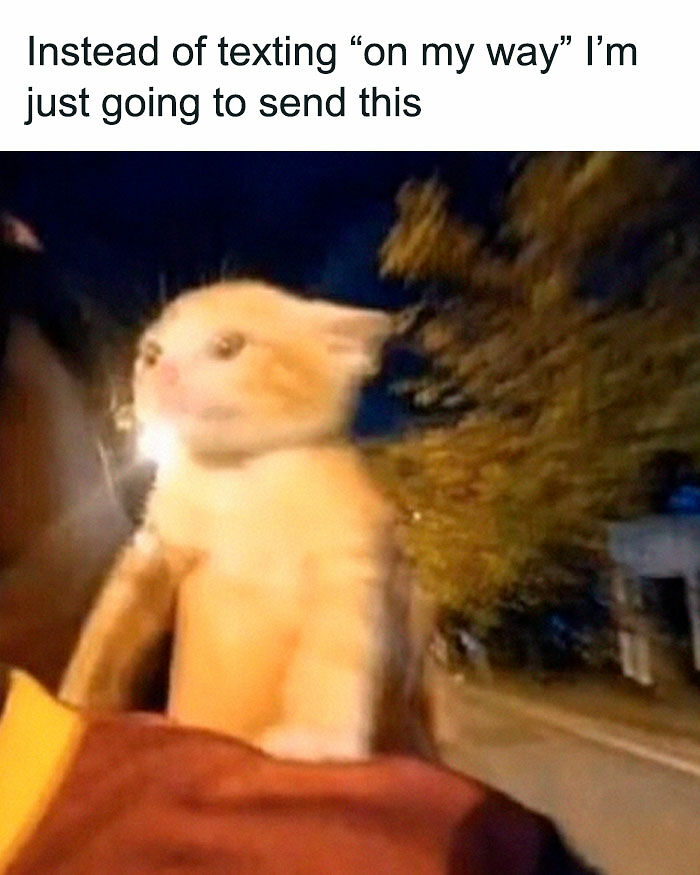 77 Hilarious Memes That Might Be The Reason Why You Go To Bed In A Good Mood Tonight 77 Hilarious Memes That Might Be The Reason Why You Go To Bed In A Good Mood Tonight