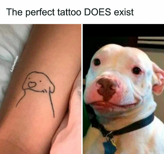 77 Hilarious Memes That Might Be The Reason Why You Go To Bed In A Good Mood Tonight 77 Hilarious Memes That Might Be The Reason Why You Go To Bed In A Good Mood Tonight
