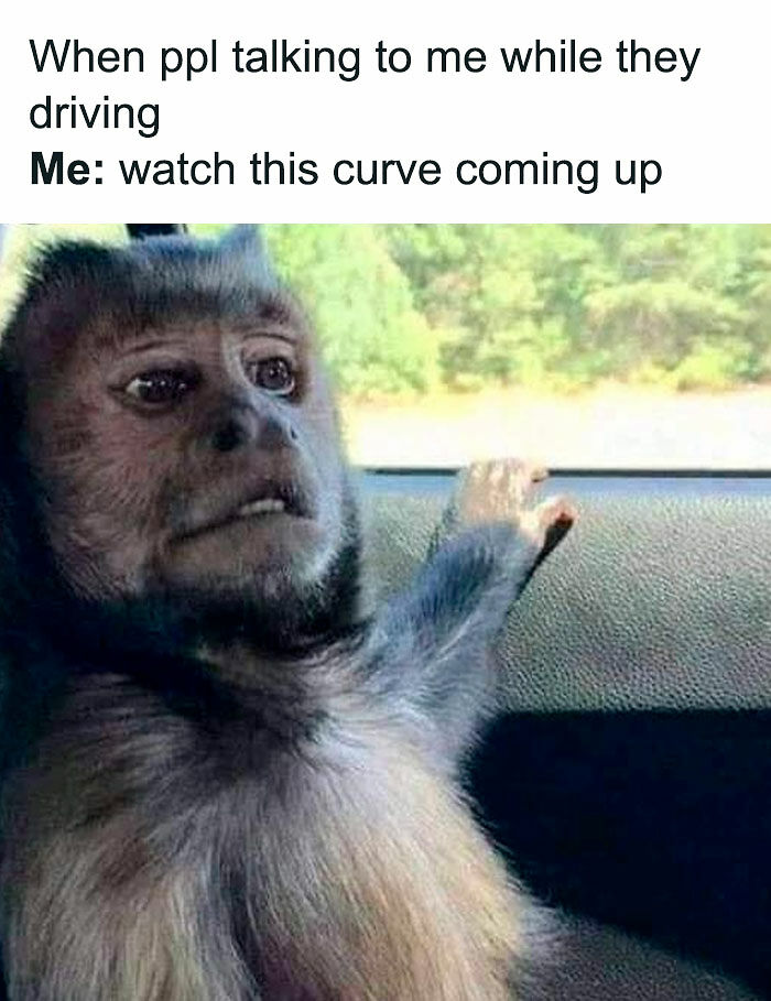 77 Hilarious Memes That Might Be The Reason Why You Go To Bed In A Good Mood Tonight 77 Hilarious Memes That Might Be The Reason Why You Go To Bed In A Good Mood Tonight