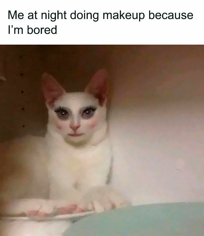 77 Hilarious Memes That Might Be The Reason Why You Go To Bed In A Good Mood Tonight 77 Hilarious Memes That Might Be The Reason Why You Go To Bed In A Good Mood Tonight