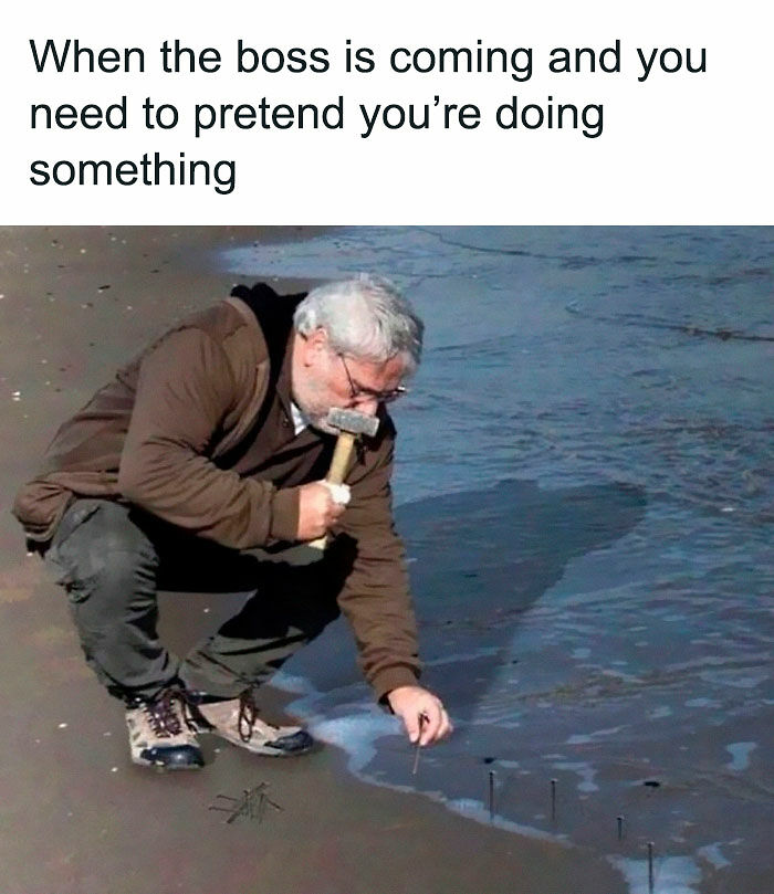 77 Hilarious Memes That Might Be The Reason Why You Go To Bed In A Good Mood Tonight 77 Hilarious Memes That Might Be The Reason Why You Go To Bed In A Good Mood Tonight
