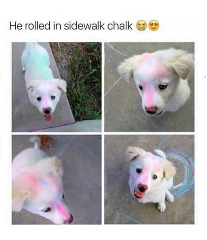 77 Hilarious Memes That Might Be The Reason Why You Go To Bed In A Good Mood Tonight 77 Hilarious Memes That Might Be The Reason Why You Go To Bed In A Good Mood Tonight