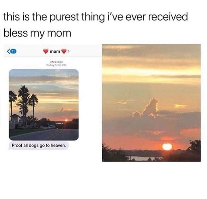 77 Hilarious Memes That Might Be The Reason Why You Go To Bed In A Good Mood Tonight 77 Hilarious Memes That Might Be The Reason Why You Go To Bed In A Good Mood Tonight