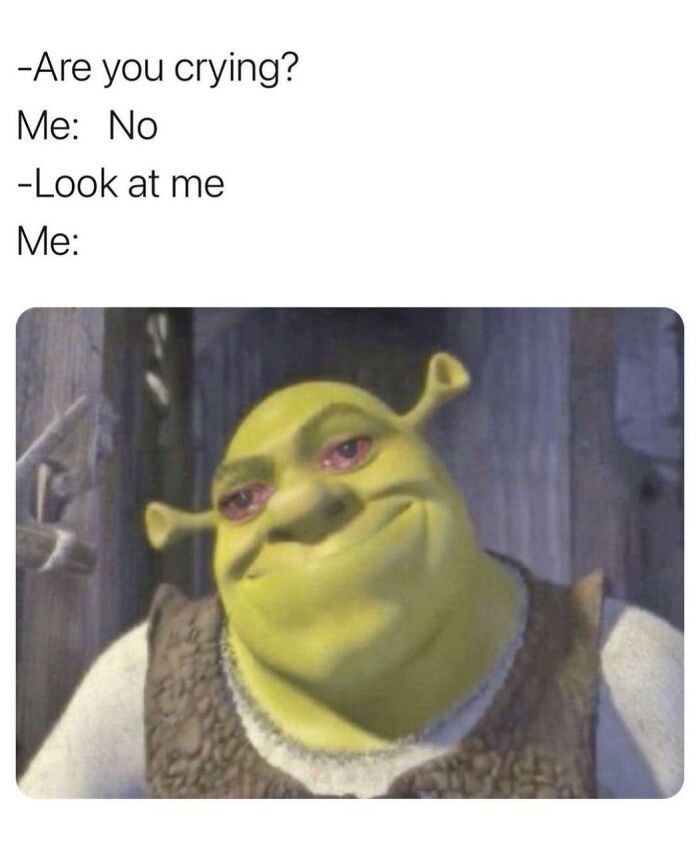 77 Hilarious Memes That Might Be The Reason Why You Go To Bed In A Good Mood Tonight 77 Hilarious Memes That Might Be The Reason Why You Go To Bed In A Good Mood Tonight