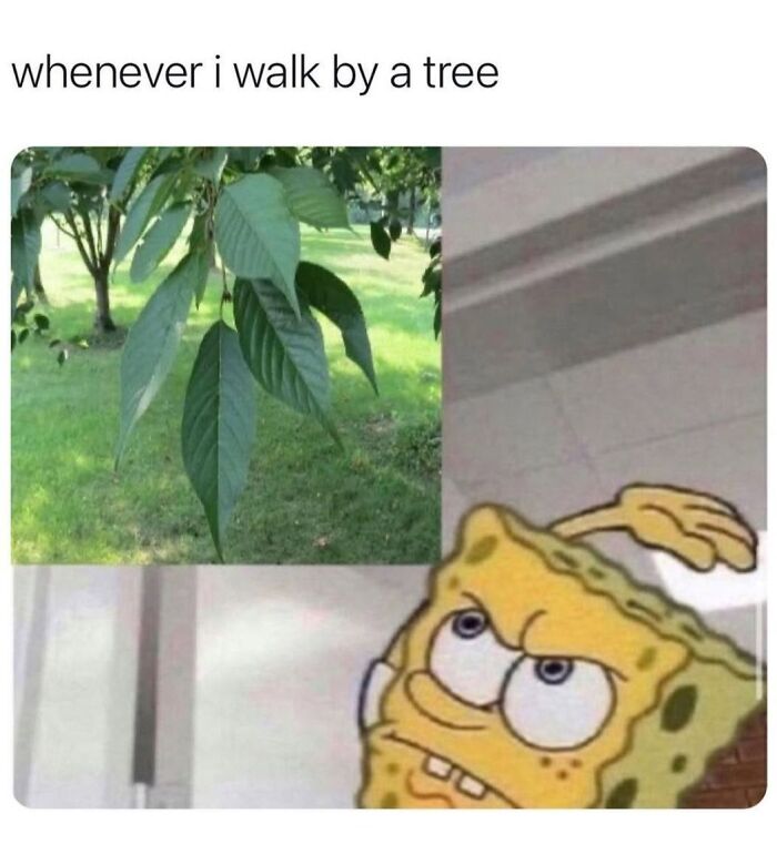 77 Hilarious Memes That Might Be The Reason Why You Go To Bed In A Good Mood Tonight 77 Hilarious Memes That Might Be The Reason Why You Go To Bed In A Good Mood Tonight