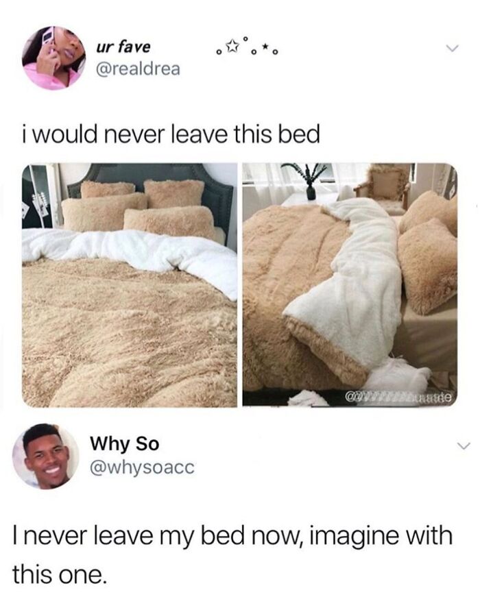 77 Hilarious Memes That Might Be The Reason Why You Go To Bed In A Good Mood Tonight 77 Hilarious Memes That Might Be The Reason Why You Go To Bed In A Good Mood Tonight