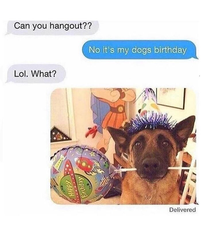 77 Hilarious Memes That Might Be The Reason Why You Go To Bed In A Good Mood Tonight 77 Hilarious Memes That Might Be The Reason Why You Go To Bed In A Good Mood Tonight