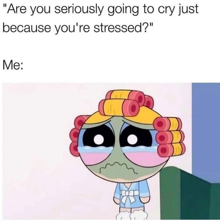 77 Hilarious Memes That Might Be The Reason Why You Go To Bed In A Good Mood Tonight 77 Hilarious Memes That Might Be The Reason Why You Go To Bed In A Good Mood Tonight