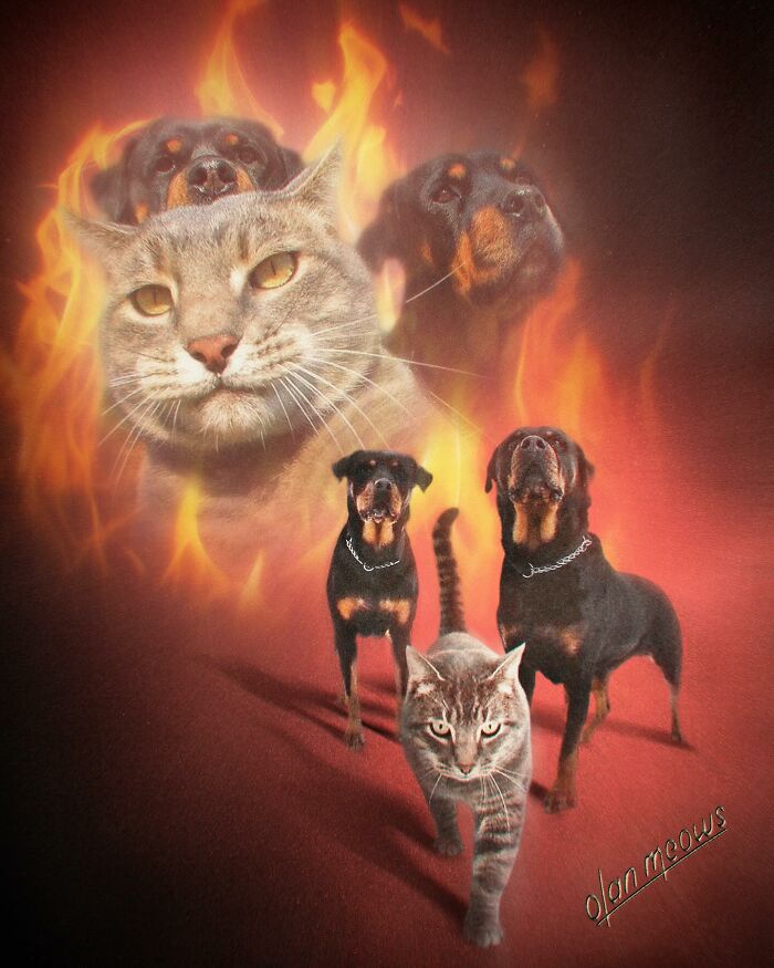 These Artists Give People’s Pets The Hilarious Over-The-Top ’80s Portrait Treatment (49 Pics) These Artists Give People’s Pets The Hilarious Over-The-Top ’80s Portrait Treatment (49 Pics)