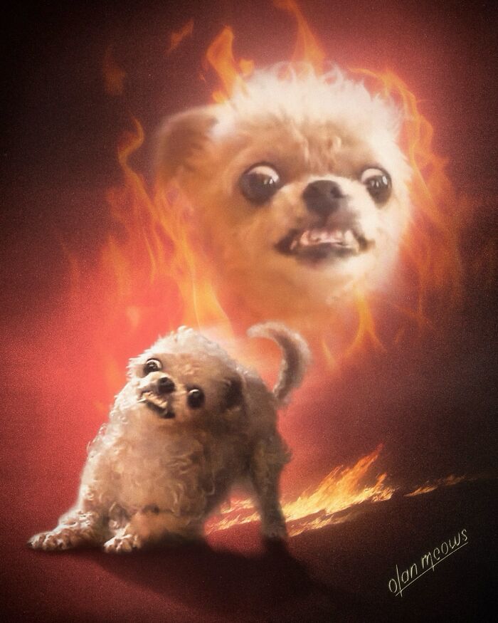These Artists Give People’s Pets The Hilarious Over-The-Top ’80s Portrait Treatment (49 Pics) These Artists Give People’s Pets The Hilarious Over-The-Top ’80s Portrait Treatment (49 Pics)