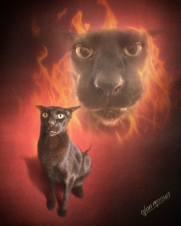 These Artists Give People’s Pets The Hilarious Over-The-Top ’80s Portrait Treatment (49 Pics) These Artists Give People’s Pets The Hilarious Over-The-Top ’80s Portrait Treatment (49 Pics)