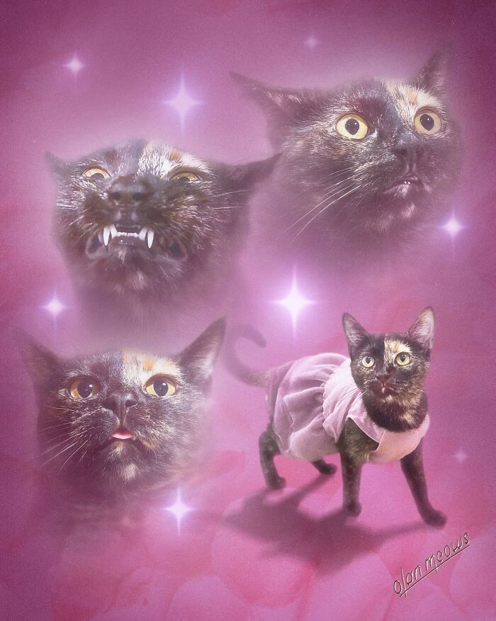 These Artists Give People’s Pets The Hilarious Over-The-Top ’80s Portrait Treatment (49 Pics) These Artists Give People’s Pets The Hilarious Over-The-Top ’80s Portrait Treatment (49 Pics)