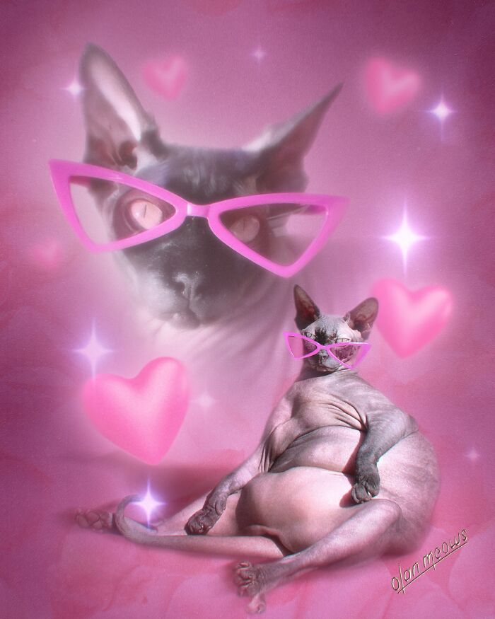 These Artists Give People’s Pets The Hilarious Over-The-Top ’80s Portrait Treatment (49 Pics) These Artists Give People’s Pets The Hilarious Over-The-Top ’80s Portrait Treatment (49 Pics)