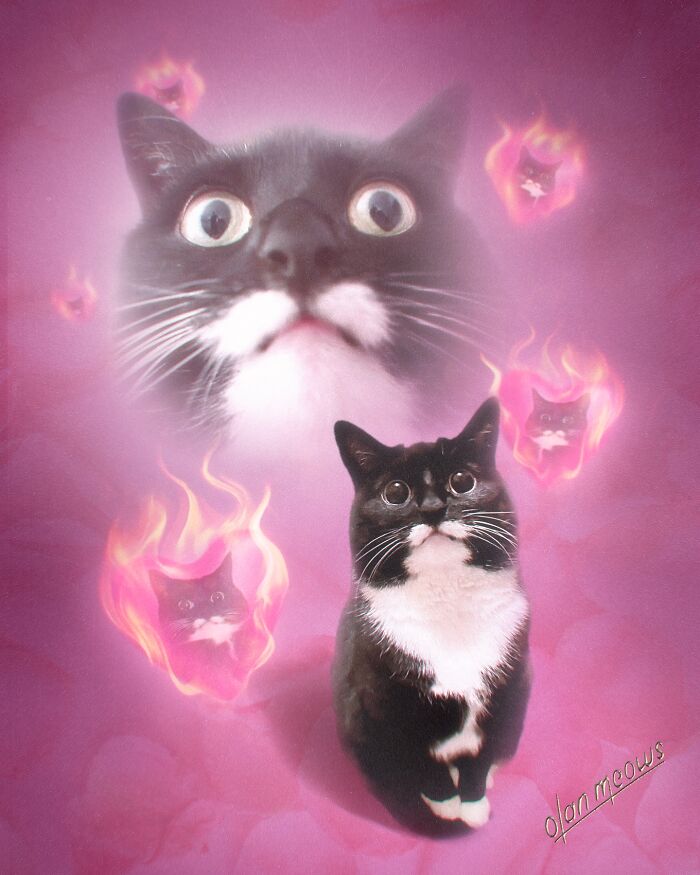 These Artists Give People’s Pets The Hilarious Over-The-Top ’80s Portrait Treatment (49 Pics) These Artists Give People’s Pets The Hilarious Over-The-Top ’80s Portrait Treatment (49 Pics)