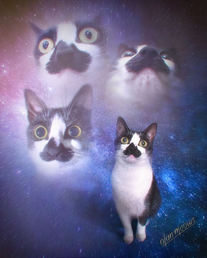 These Artists Give People’s Pets The Hilarious Over-The-Top ’80s Portrait Treatment (49 Pics) These Artists Give People’s Pets The Hilarious Over-The-Top ’80s Portrait Treatment (49 Pics)