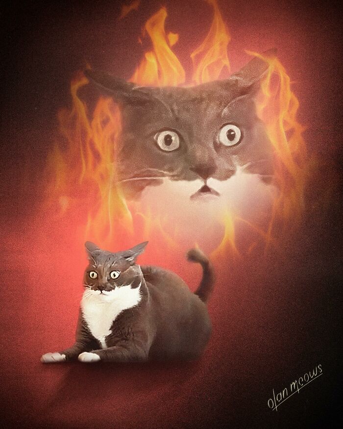 These Artists Give People’s Pets The Hilarious Over-The-Top ’80s Portrait Treatment (49 Pics) These Artists Give People’s Pets The Hilarious Over-The-Top ’80s Portrait Treatment (49 Pics)