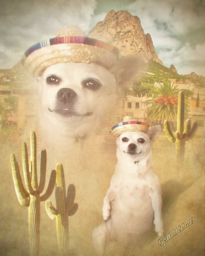 These Artists Give People’s Pets The Hilarious Over-The-Top ’80s Portrait Treatment (49 Pics) These Artists Give People’s Pets The Hilarious Over-The-Top ’80s Portrait Treatment (49 Pics)
