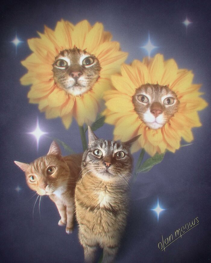 These Artists Give People’s Pets The Hilarious Over-The-Top ’80s Portrait Treatment (49 Pics) These Artists Give People’s Pets The Hilarious Over-The-Top ’80s Portrait Treatment (49 Pics)