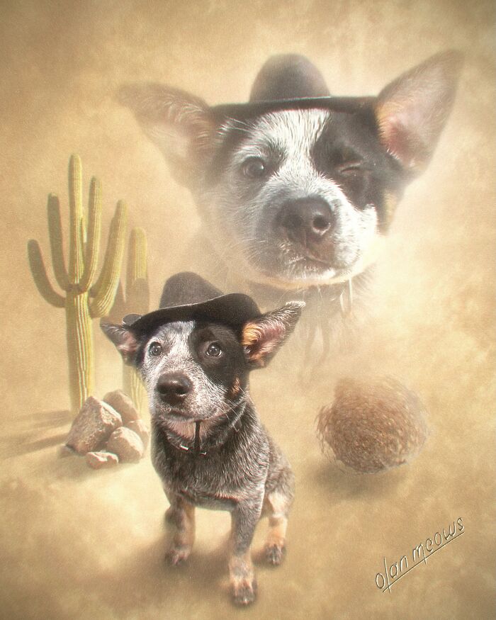 These Artists Give People’s Pets The Hilarious Over-The-Top ’80s Portrait Treatment (49 Pics) These Artists Give People’s Pets The Hilarious Over-The-Top ’80s Portrait Treatment (49 Pics)