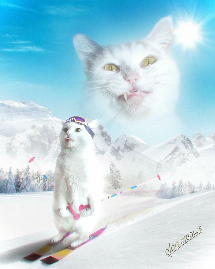 These Artists Give People’s Pets The Hilarious Over-The-Top ’80s Portrait Treatment (49 Pics) These Artists Give People’s Pets The Hilarious Over-The-Top ’80s Portrait Treatment (49 Pics)