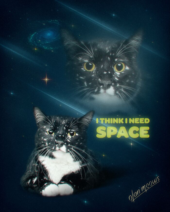 These Artists Give People’s Pets The Hilarious Over-The-Top ’80s Portrait Treatment (49 Pics) These Artists Give People’s Pets The Hilarious Over-The-Top ’80s Portrait Treatment (49 Pics)