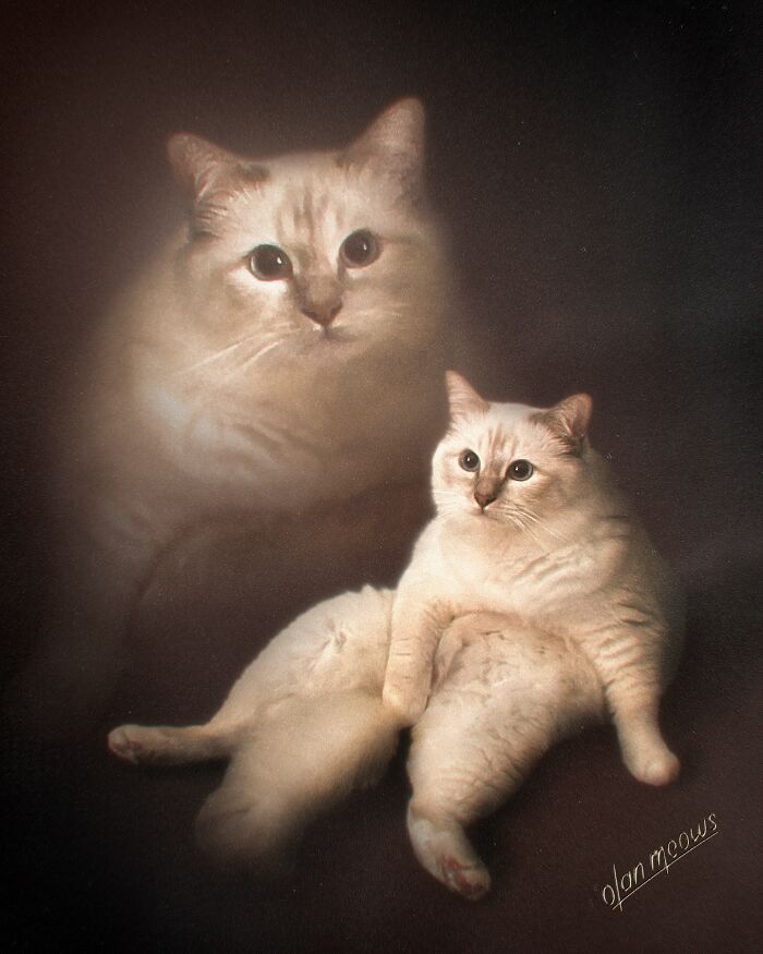 These Artists Give People’s Pets The Hilarious Over-The-Top ’80s Portrait Treatment (49 Pics) These Artists Give People’s Pets The Hilarious Over-The-Top ’80s Portrait Treatment (49 Pics)