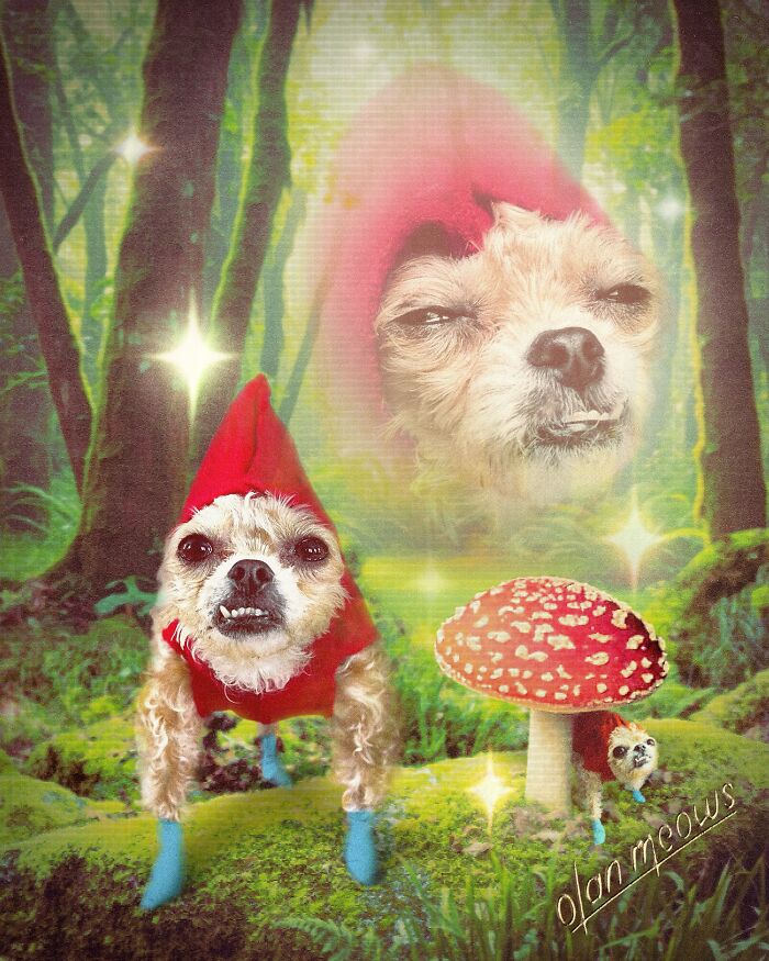 These Artists Give People’s Pets The Hilarious Over-The-Top ’80s Portrait Treatment (49 Pics) These Artists Give People’s Pets The Hilarious Over-The-Top ’80s Portrait Treatment (49 Pics)
