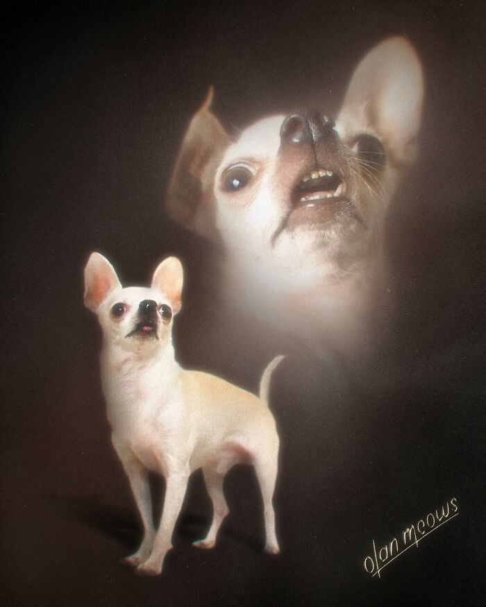 These Artists Give People’s Pets The Hilarious Over-The-Top ’80s Portrait Treatment (49 Pics) These Artists Give People’s Pets The Hilarious Over-The-Top ’80s Portrait Treatment (49 Pics)