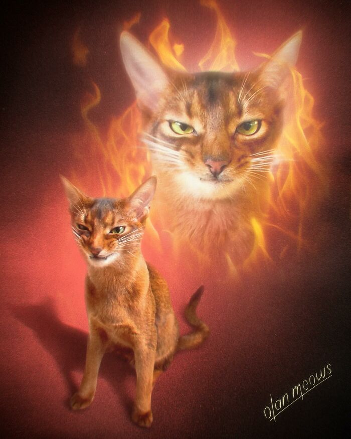 These Artists Give People’s Pets The Hilarious Over-The-Top ’80s Portrait Treatment (49 Pics) These Artists Give People’s Pets The Hilarious Over-The-Top ’80s Portrait Treatment (49 Pics)