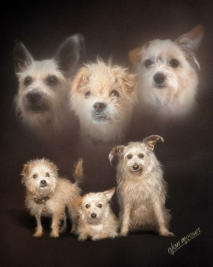 These Artists Give People’s Pets The Hilarious Over-The-Top ’80s Portrait Treatment (49 Pics) These Artists Give People’s Pets The Hilarious Over-The-Top ’80s Portrait Treatment (49 Pics)