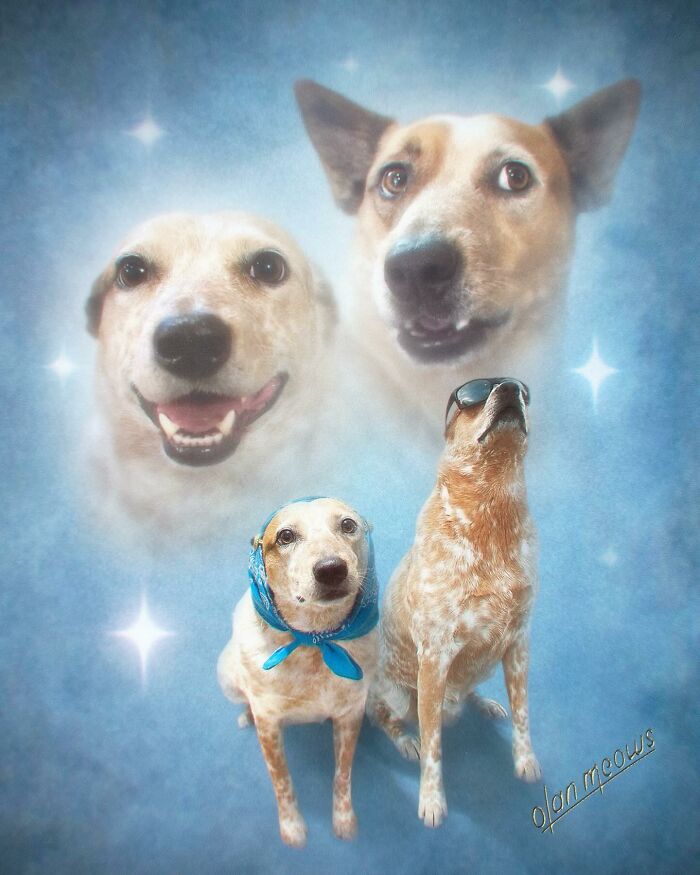 These Artists Give People’s Pets The Hilarious Over-The-Top ’80s Portrait Treatment (49 Pics) These Artists Give People’s Pets The Hilarious Over-The-Top ’80s Portrait Treatment (49 Pics)