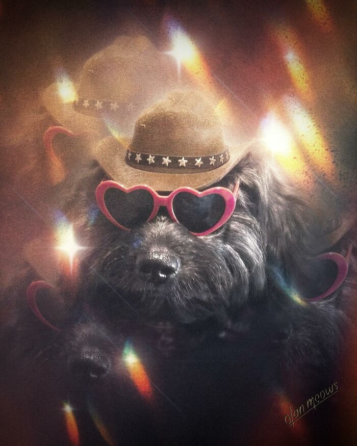 These Artists Give People’s Pets The Hilarious Over-The-Top ’80s Portrait Treatment (49 Pics) These Artists Give People’s Pets The Hilarious Over-The-Top ’80s Portrait Treatment (49 Pics)