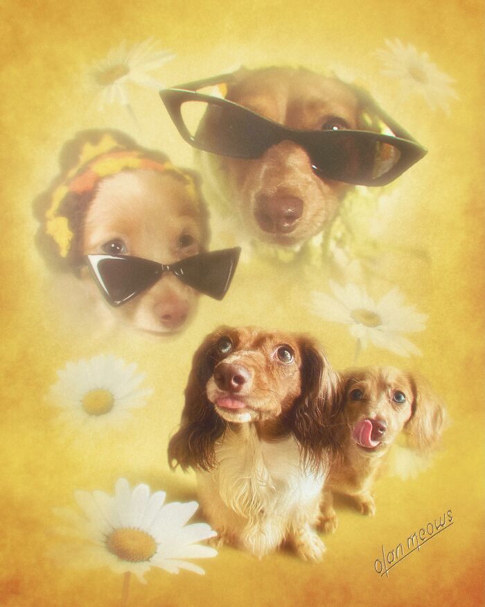 These Artists Give People’s Pets The Hilarious Over-The-Top ’80s Portrait Treatment (49 Pics) These Artists Give People’s Pets The Hilarious Over-The-Top ’80s Portrait Treatment (49 Pics)