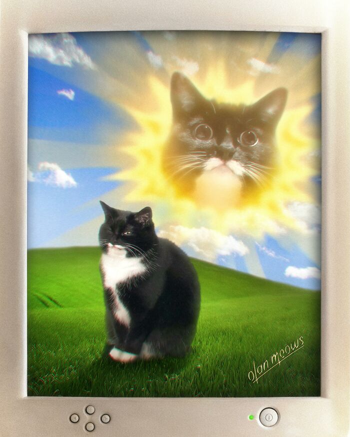These Artists Give People’s Pets The Hilarious Over-The-Top ’80s Portrait Treatment (49 Pics) These Artists Give People’s Pets The Hilarious Over-The-Top ’80s Portrait Treatment (49 Pics)