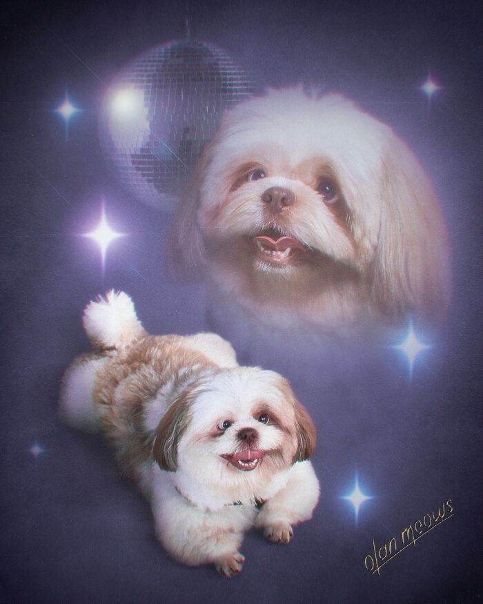 These Artists Give People’s Pets The Hilarious Over-The-Top ’80s Portrait Treatment (49 Pics) These Artists Give People’s Pets The Hilarious Over-The-Top ’80s Portrait Treatment (49 Pics)