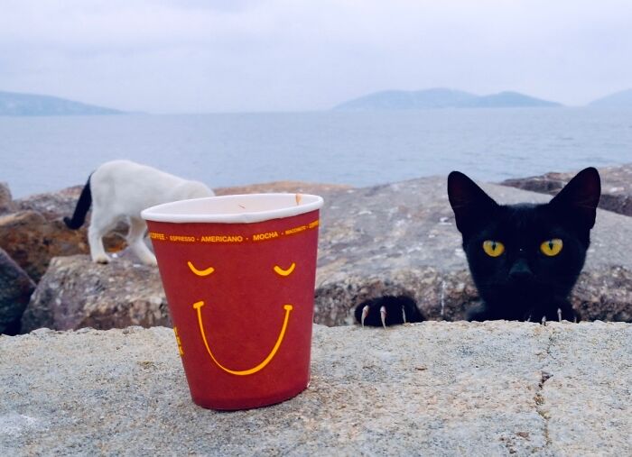 25 Beautifully Candid Moments From The Streets By Sami U&ccedil;an (New Pics)