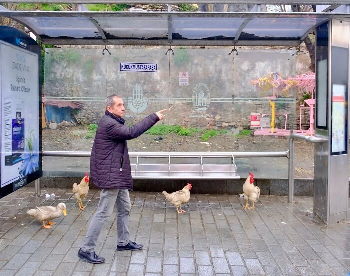 25 Beautifully Candid Moments From The Streets By Sami U&ccedil;an (New Pics)