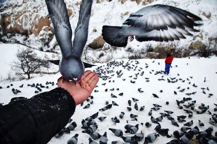 25 Beautifully Candid Moments From The Streets By Sami U&ccedil;an (New Pics)