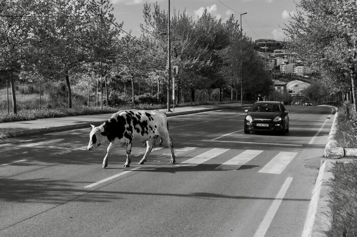 25 Beautifully Candid Moments From The Streets By Sami U&ccedil;an (New Pics)