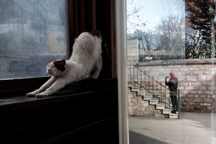 25 Beautifully Candid Moments From The Streets By Sami U&ccedil;an (New Pics)