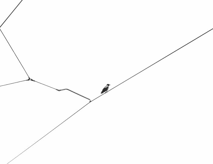 The Artist Gallery’s 2026 Minimalist Photography Contest Celebrates The Beauty Of Simplicity (25 Pics) The Artist Gallery’s 2026 Minimalist Photography Contest Celebrates The Beauty Of Simplicity (25 Pics)