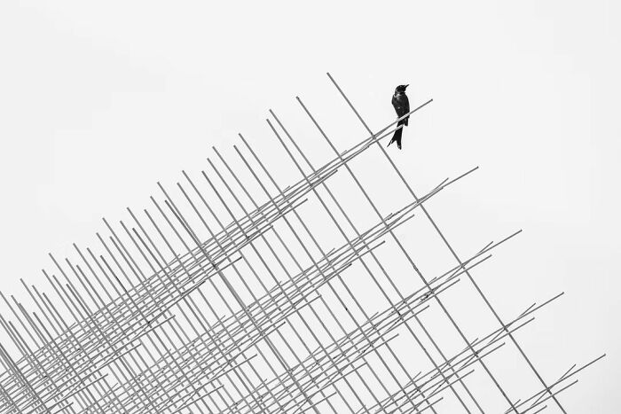 The Artist Gallery’s 2026 Minimalist Photography Contest Celebrates The Beauty Of Simplicity (25 Pics) The Artist Gallery’s 2026 Minimalist Photography Contest Celebrates The Beauty Of Simplicity (25 Pics)