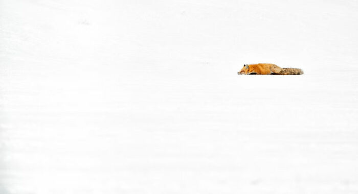 The Artist Gallery’s 2026 Minimalist Photography Contest Celebrates The Beauty Of Simplicity (25 Pics) The Artist Gallery’s 2026 Minimalist Photography Contest Celebrates The Beauty Of Simplicity (25 Pics)