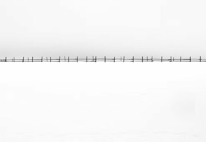 The Artist Gallery’s 2026 Minimalist Photography Contest Celebrates The Beauty Of Simplicity (25 Pics) The Artist Gallery’s 2026 Minimalist Photography Contest Celebrates The Beauty Of Simplicity (25 Pics)