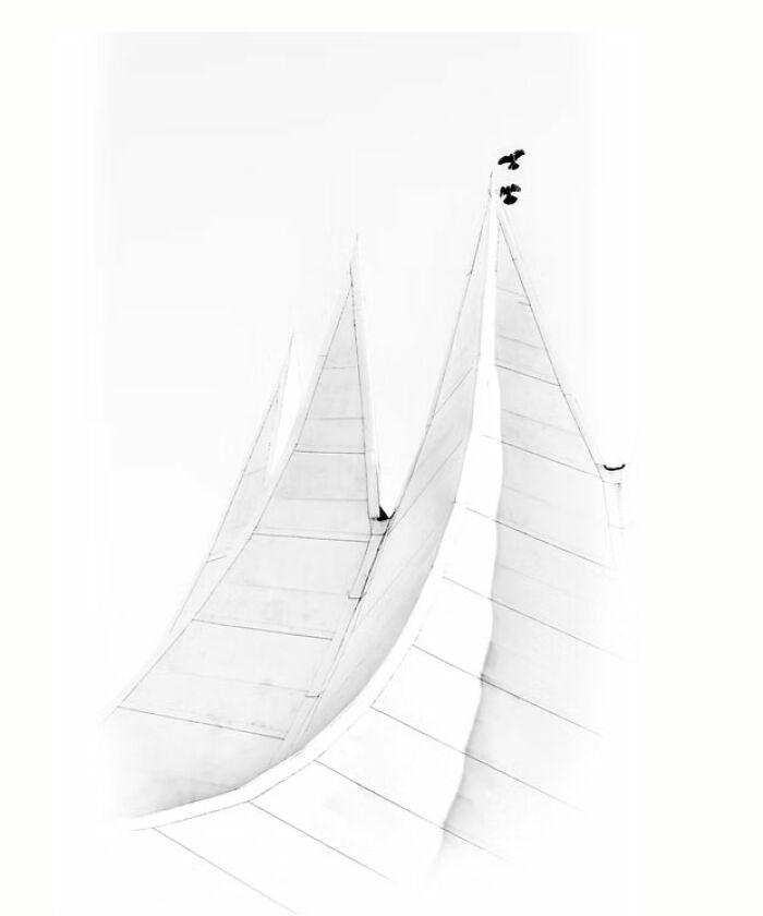 The Artist Gallery’s 2026 Minimalist Photography Contest Celebrates The Beauty Of Simplicity (25 Pics) The Artist Gallery’s 2026 Minimalist Photography Contest Celebrates The Beauty Of Simplicity (25 Pics)