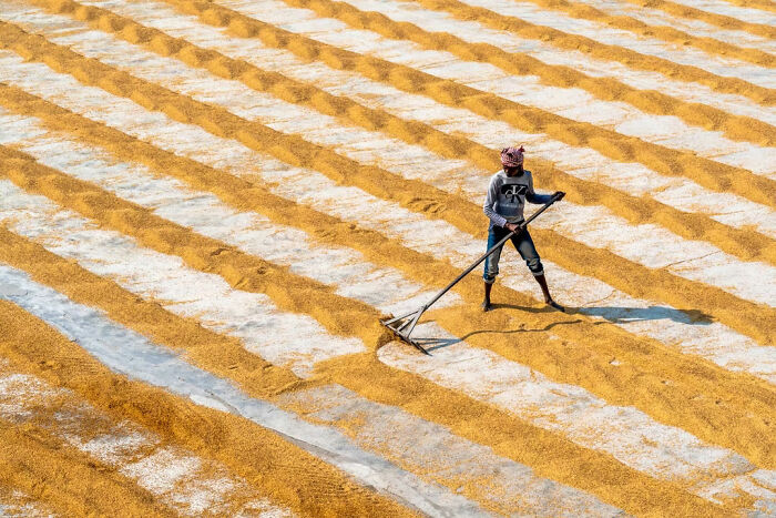 The Artist Gallery’s 2026 Minimalist Photography Contest Celebrates The Beauty Of Simplicity (25 Pics) The Artist Gallery’s 2026 Minimalist Photography Contest Celebrates The Beauty Of Simplicity (25 Pics)