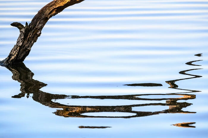 The Artist Gallery’s 2026 Minimalist Photography Contest Celebrates The Beauty Of Simplicity (25 Pics) The Artist Gallery’s 2026 Minimalist Photography Contest Celebrates The Beauty Of Simplicity (25 Pics)