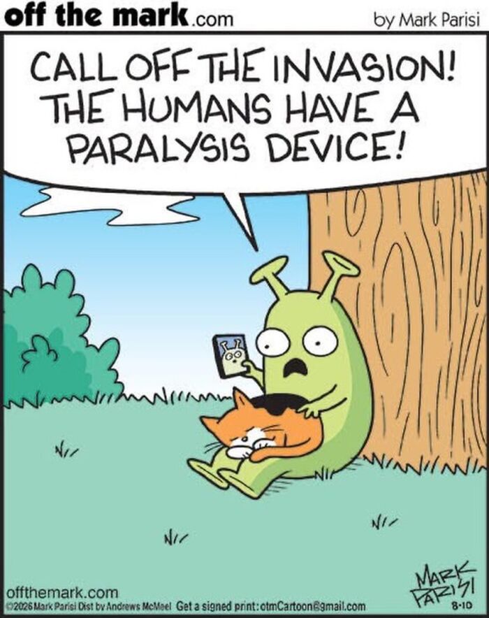 Hilarious Life With Cats Perfectly Captured In 36 New Comics By Mark Parisi Hilarious Life With Cats Perfectly Captured In 36 New Comics By Mark Parisi