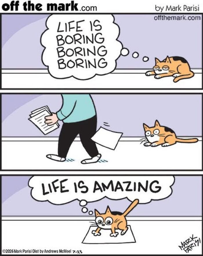 Hilarious Life With Cats Perfectly Captured In 36 New Comics By Mark Parisi Hilarious Life With Cats Perfectly Captured In 36 New Comics By Mark Parisi